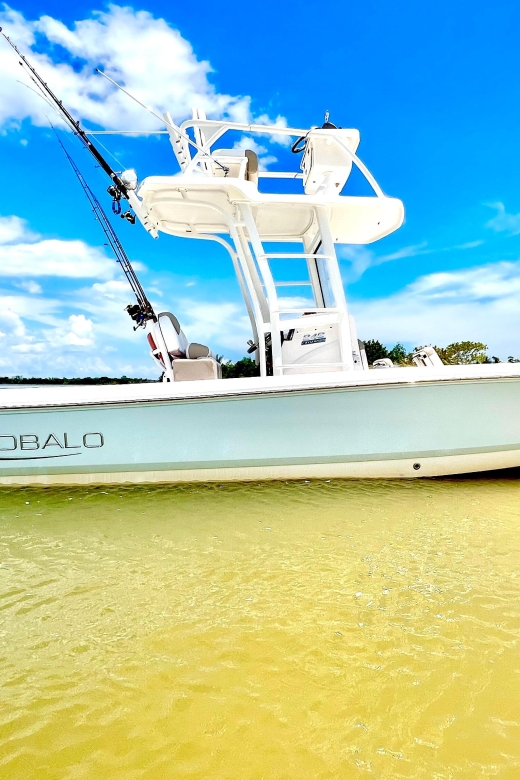 Naples, FL: 3 Hour Private Dolphin & Manatee Tour - Meeting Point and Directions