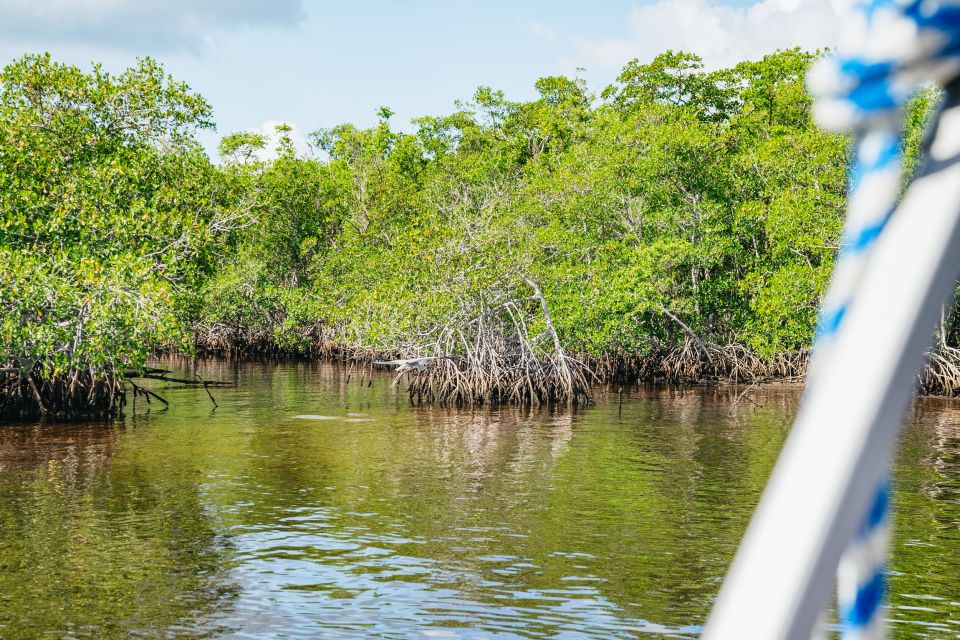 Naples, FL: Manatee, Dolphin, 10,000 Islands Beach Eco Tour - Capturing Picturesque Harbor and Bay