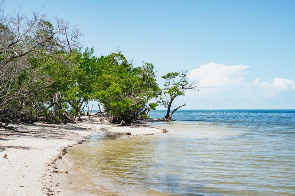 Naples, FL: Manatee, Dolphin, 10,000 Islands Beach Eco Tour - Complimentary Gear and Parking