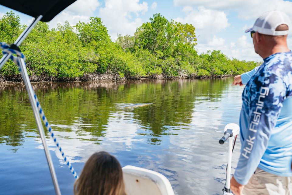 Naples, FL: Manatee, Dolphin, 10,000 Islands Beach Eco Tour - Booking and Pricing Information