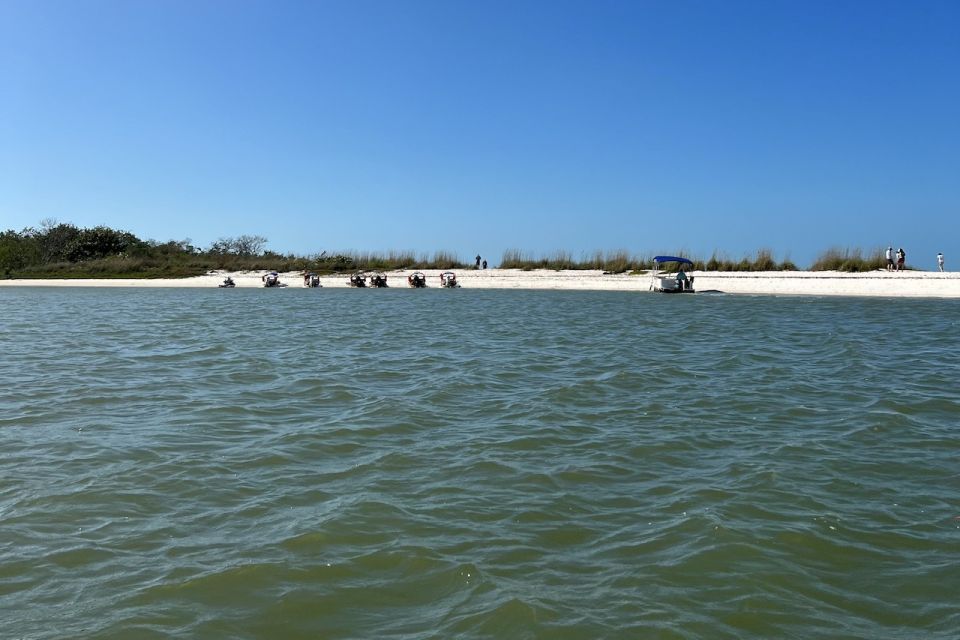Naples, FL: Manatee, Dolphin, 10,000 Islands Beach Eco Tour - Recap