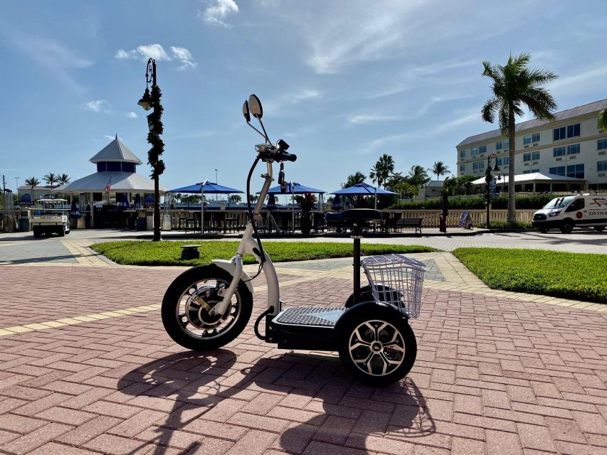 Naples, Florida: Family Friendly Guided Electric Trike Tour - Coastal Views and Wildlife