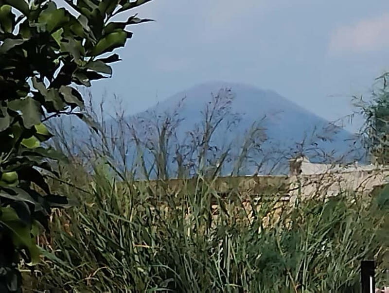 Naples: "fried pizza" workshop and tasting in front of Vesuvius - Real Feedback from Participants
