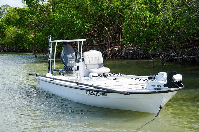 Naples Half-Day Fly Fishing Activity - The Experience: What Travelers Say and Can Expect