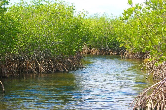 Naples Half-Day Fly Fishing Activity - Practical Considerations