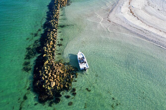 Naples Half-Day Private Eco Tour and Shelling Trip - An In-Depth Look at the Naples Eco and Shelling Tour