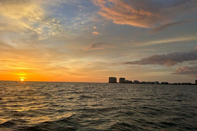 Naples Keewaydin Shelling Dolphin and Beach Tours - Who will love this tour