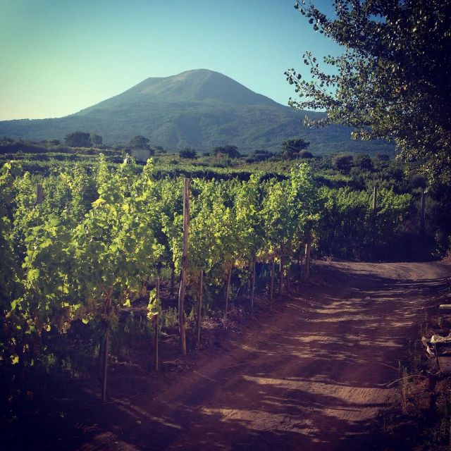 Naples: Mount Vesuvius Vineyard Tour W/ Lunch & Wine Tasting - Food Pairing Options