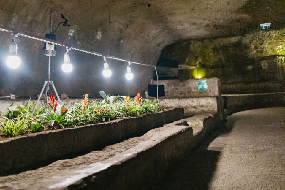 Naples: Naples Underground Entry Ticket and Guided Tour - Important Information