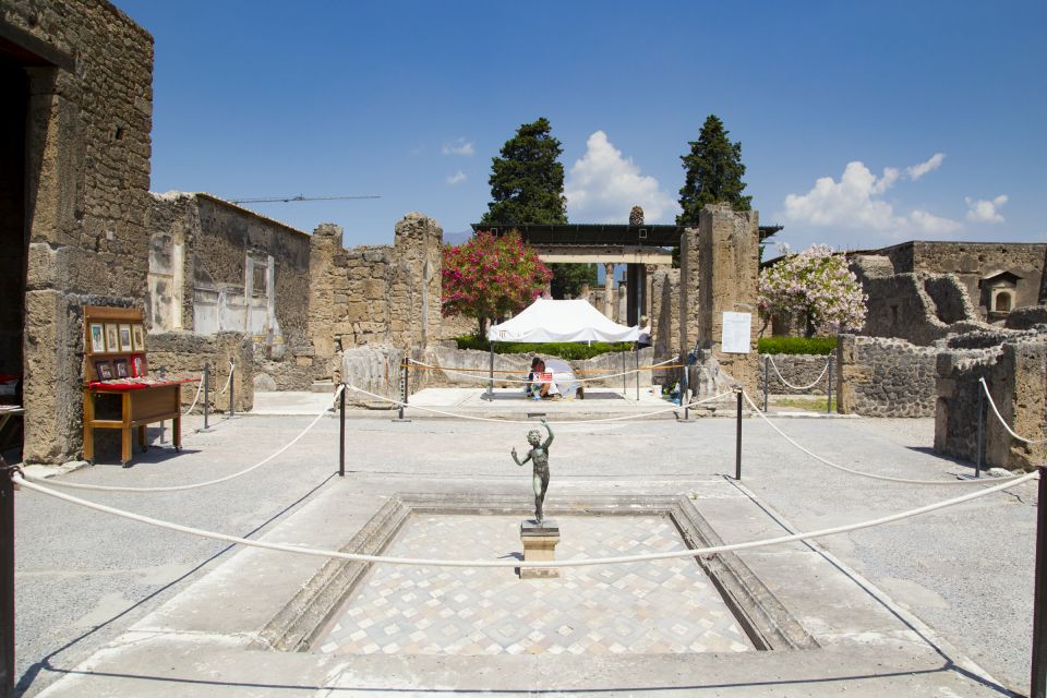 Naples or Sorrento: Full-Day Pompeii and Mount Vesuvius Tour - Inclusions and Exclusions