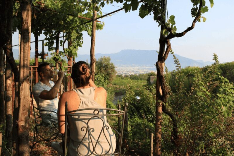 Naples: Pompeii and Herculaneum Tour with Tickets and Lunch - Key Points