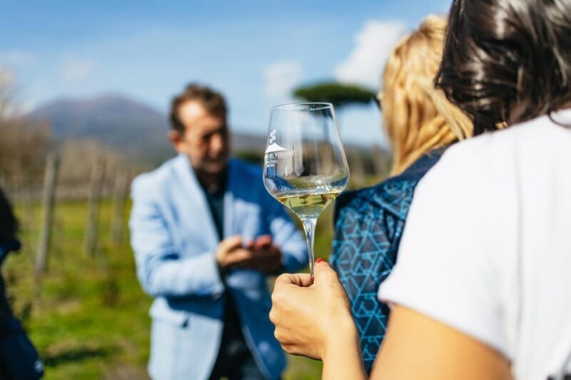 Naples: Pompeii and Mt. Vesuvius with Lunch and Wine Tasting - Key Points