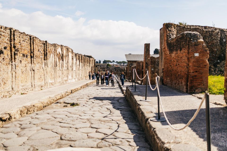 Naples: Pompeii and Mt. Vesuvius With Lunch and Wine Tasting - Inclusions