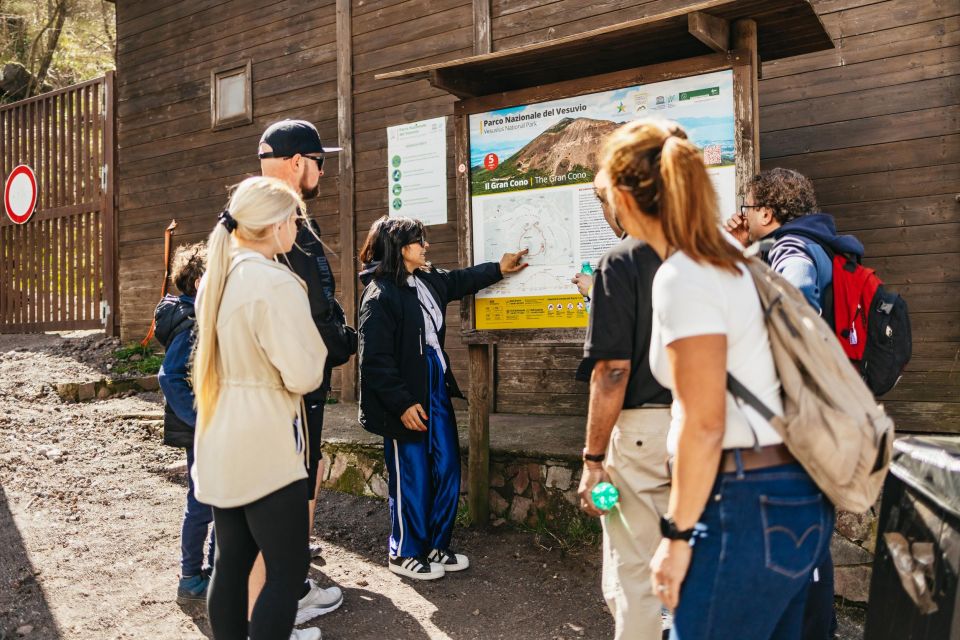 Naples: Pompeii and Mt. Vesuvius With Lunch and Wine Tasting - Important Information