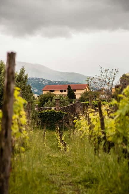 Naples: Pompeii & Herculaneum Shared Small group Tour - FAQ