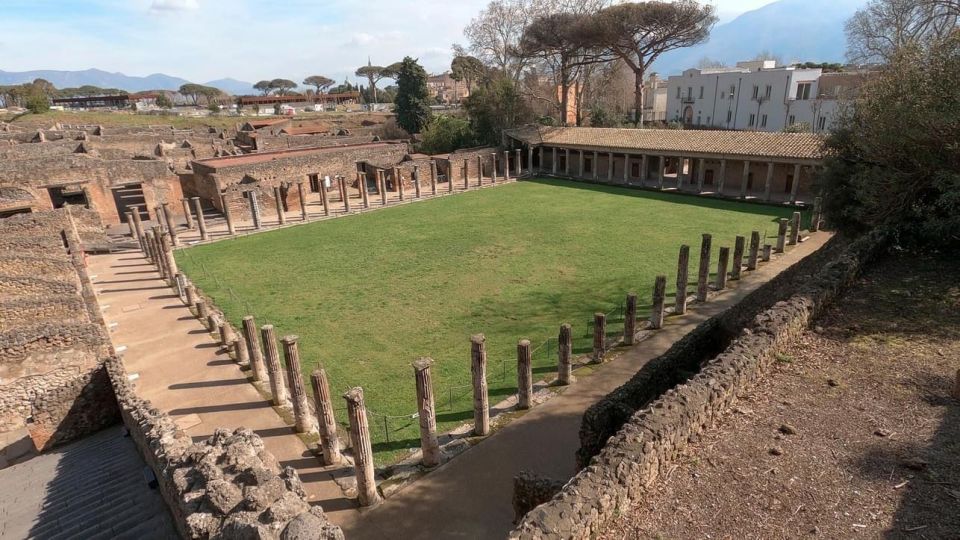 Naples: Pompeii & Herculaneum Tour W/ Lunch & Wine Tasting - Transportation and Guides