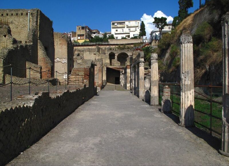 Naples: Pompeii & Herculaneum Tour with Lunch - Final Thoughts: Who Is This Tour Best For?