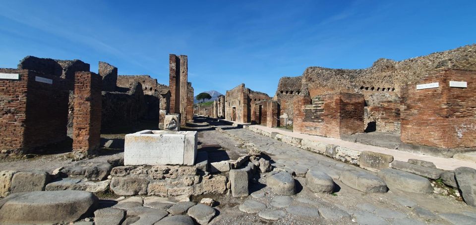 Naples: Pompeii & Mt. Vesuvius Day Trip With Tickets & Lunch - Guided Tour of Pompeii