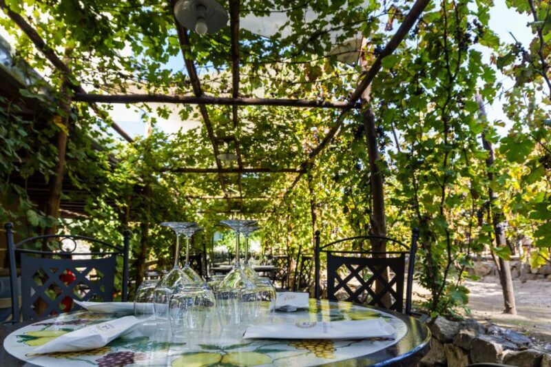Naples: Pompeii Wine Tasting With Lunch - Practical Details & Logistics