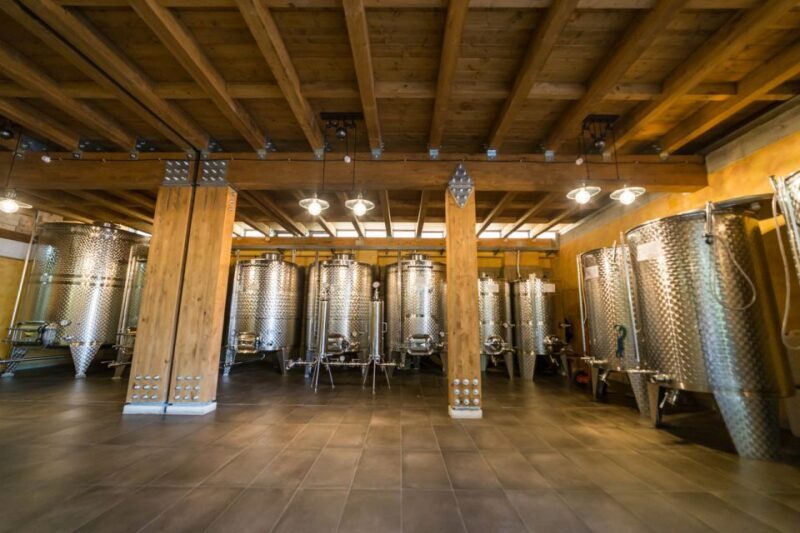 Naples: Pompeii Wine Tasting With Lunch - Final Thoughts