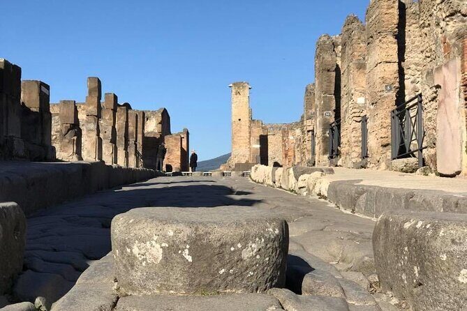 Naples port tour Sorrento and pompeii and overview of positano - Who Should Consider This Tour?