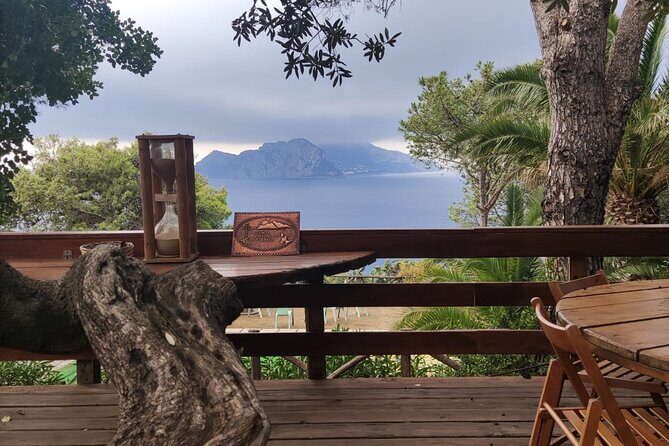 Naples port tour Sorrento and pompeii and overview of positano - Final Thoughts