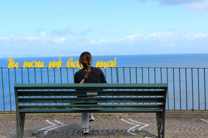 Naples: Private Amalfi, Positano & Sorrento Tour With Driver - The Transport & Logistics