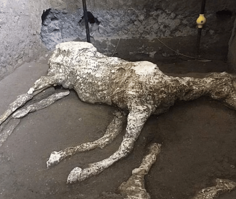 Naples: Private Pompeii & Vesuvius Tour with Driver - An In-Depth Look at the Tour Experience