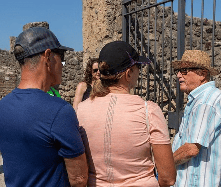Naples: Private Pompeii & Vesuvius Tour with Driver - The Sum Up