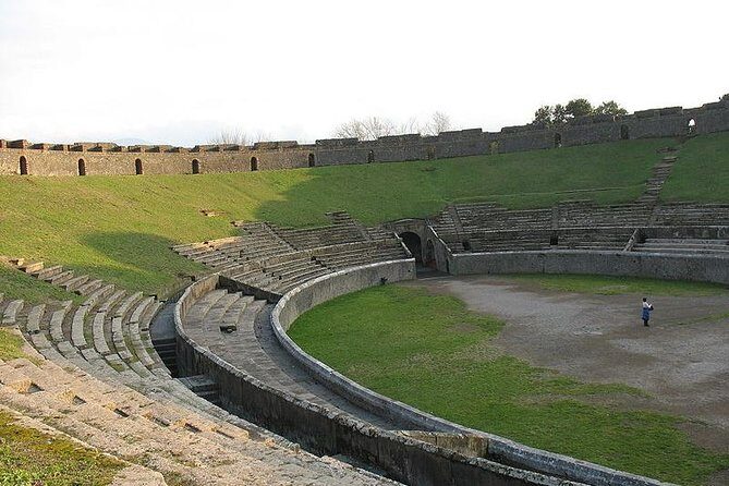 Naples Shore Excursion Mt Vesuvius and Pompeii Day Trip - What Do Reviews Tell Us?