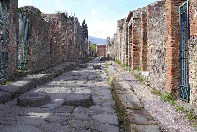 Naples Shore Excursion: Pompeii Half Day Trip from Naples - Why Consider This Tour?