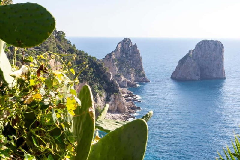 Naples: Sun, Sea, and Swim Capri and Positano Dream Cruise - An In-depth Look at the Experience