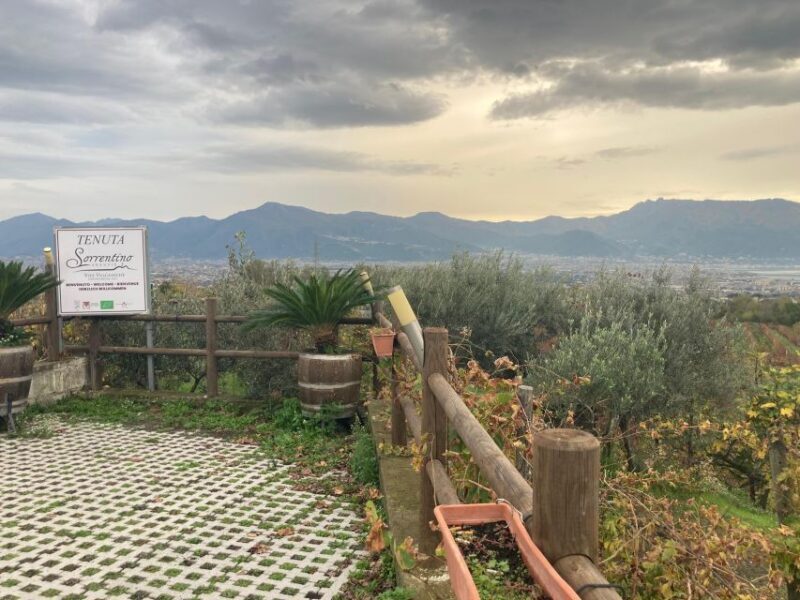 Naples to: Pompei , Vesuvius, Ercolano - The Itinerary in Detail: What to Expect