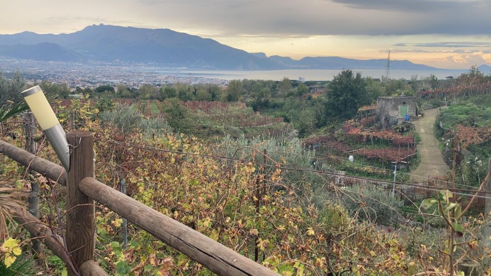 Naples To: Pompeii, Vesuvius, Herculaneum - Highlights of the Tour