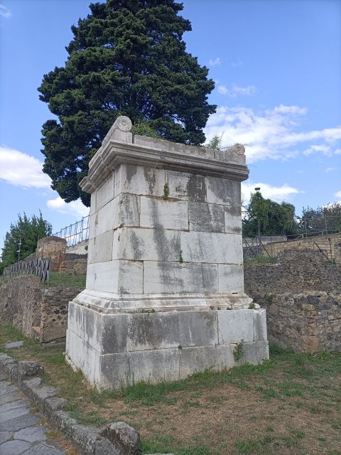 Naples to the Amalfi Coast & Herculaneum Guided Tour - Herculaneum Guided Tour