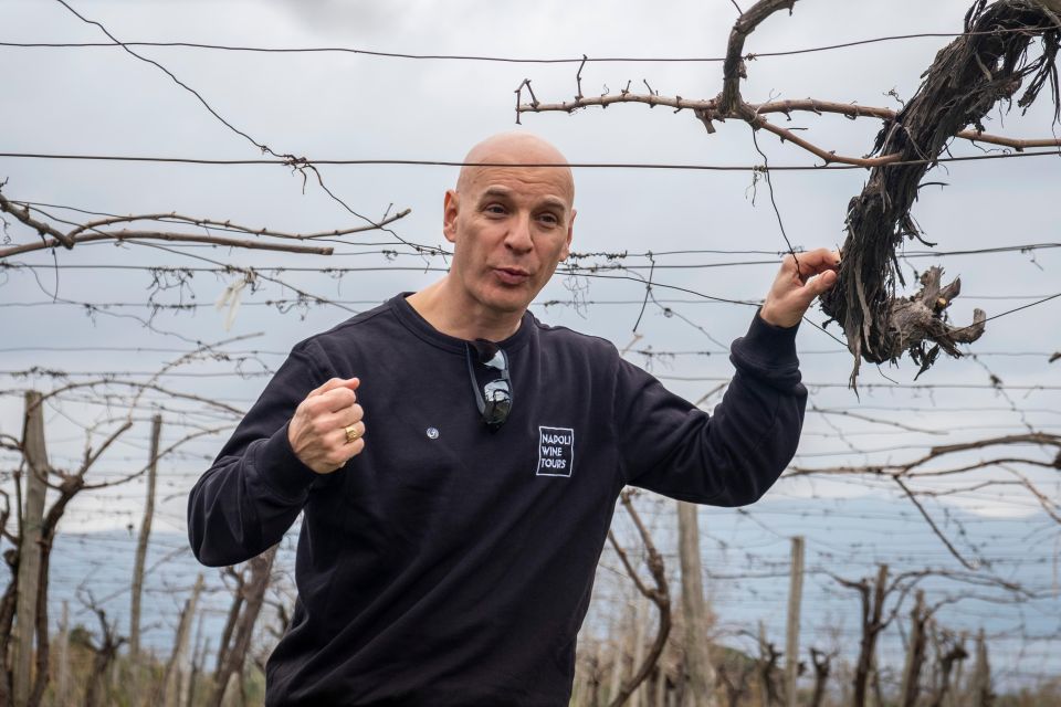 Naples: Walk-Through-Vineyards Private Tour - Key Points