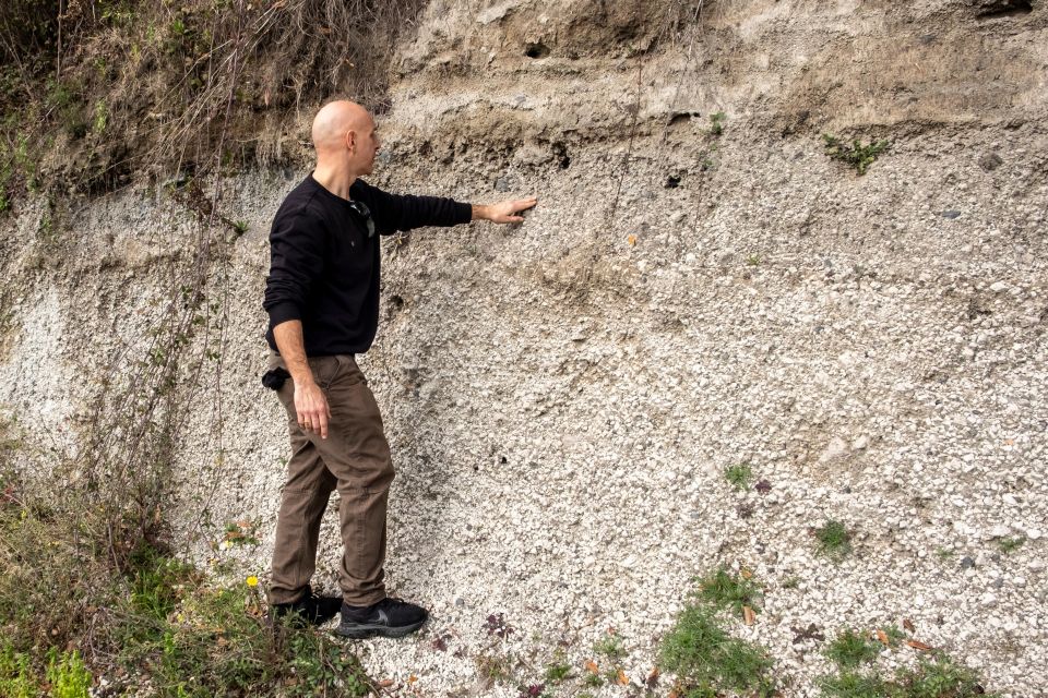 Naples: Walk-Through-Vineyards Private Tour - Guided Tour by Sommelier