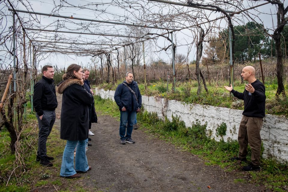 Naples: Walk-Through-Vineyards Private Tour - Farm-to-Table Lunch Experience