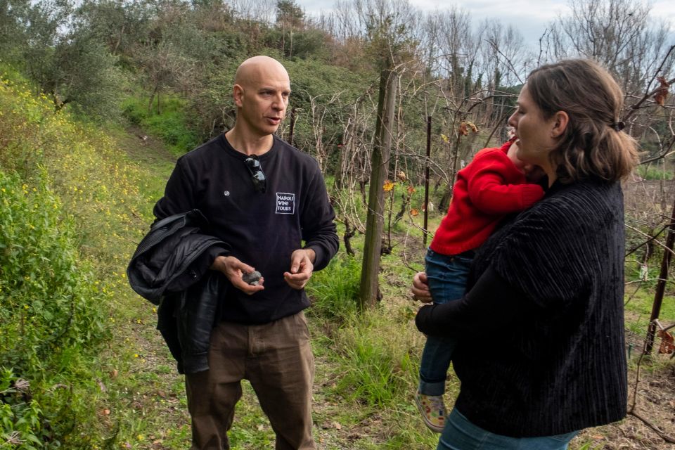 Naples: Walk-Through-Vineyards Private Tour - Tour Accessibility and Cancellation Policy