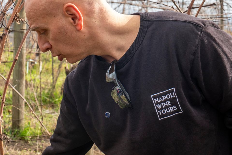 Naples: Walk-Through-Vineyards Private Tour - Frequently Asked Questions