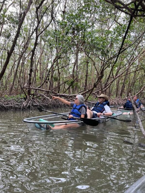 Naples: Wiggins Pass Clear Kayak Eco Tour - Wildlife Watching