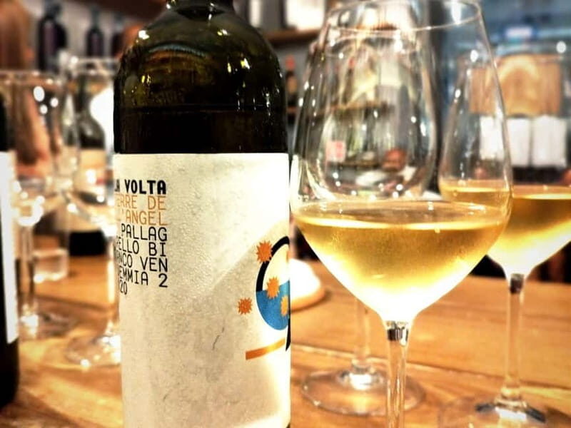 Naples: Wine Tasting Experience with Local Food Pairings - Who Will Love This Tour?
