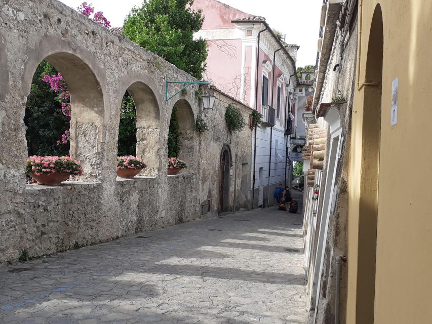 Napoli: Transfer From Naples to Ravello via Pompeii - Restrictions