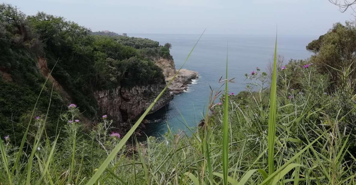 Napoli: Transfer From Naples to Sorrento via Pompeii - Departure and Arrival