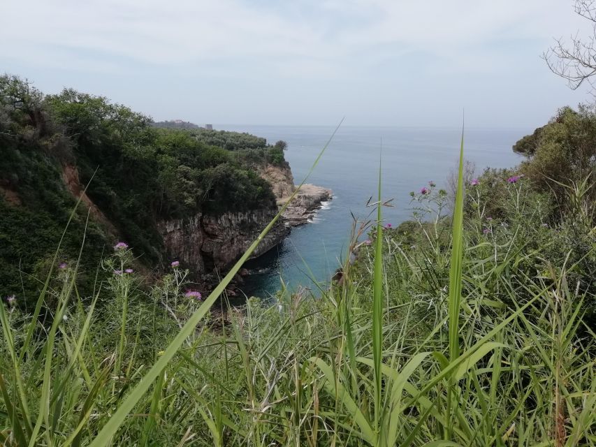 Napoli: Transfer From Naples to Sorrento via Pompeii - Pricing and Booking