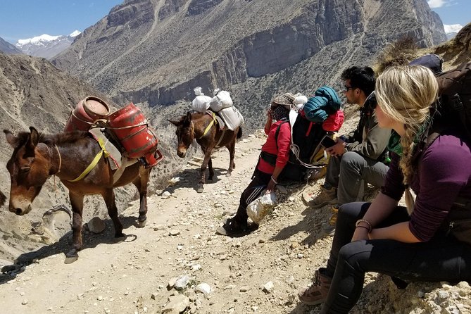 Nar Phu Valley Trek - 12 Days - Exclusions to Consider