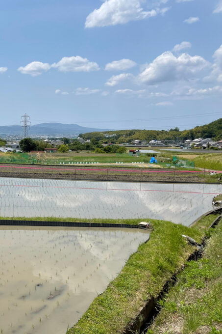 Nara: Discover Countryside– Landscape and Mysterious History - Recap