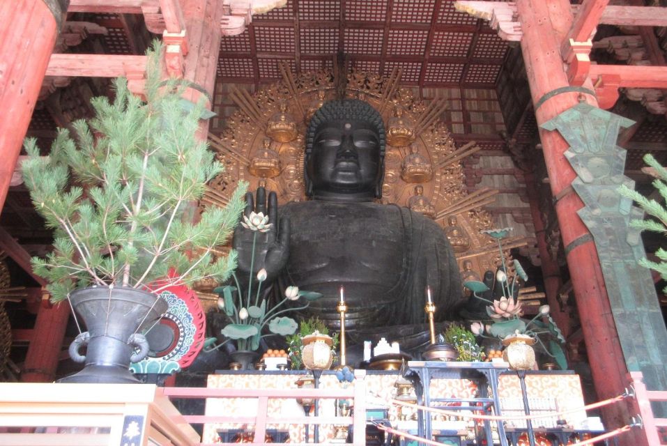 Nara: Giant Buddha, Free Deer in the Park (English Translation) - Booking and Cancellation Policy