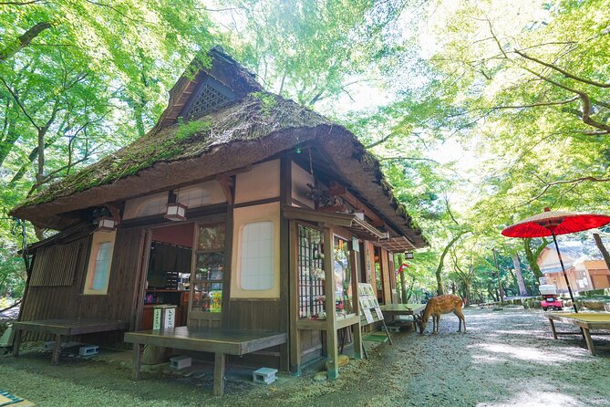 Nara Half Day Trip Walking Tour - Tour Reviews