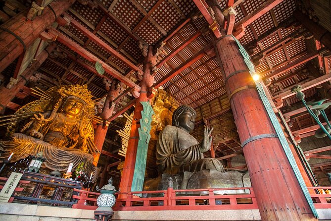 Nara Half Day Walking Tour - Booking and Cancellation Policy